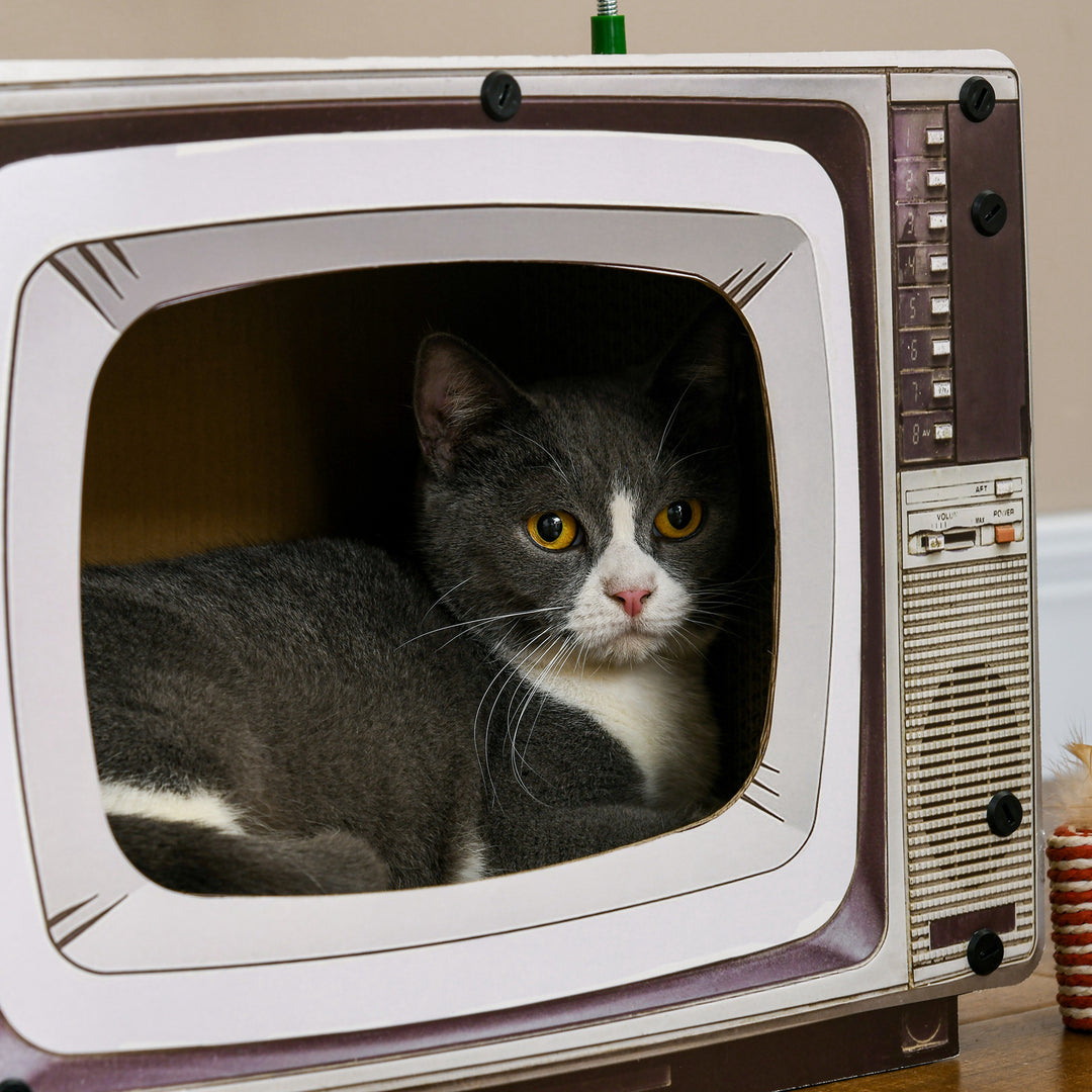 TV-Shaped Scratching Board with Scratcher