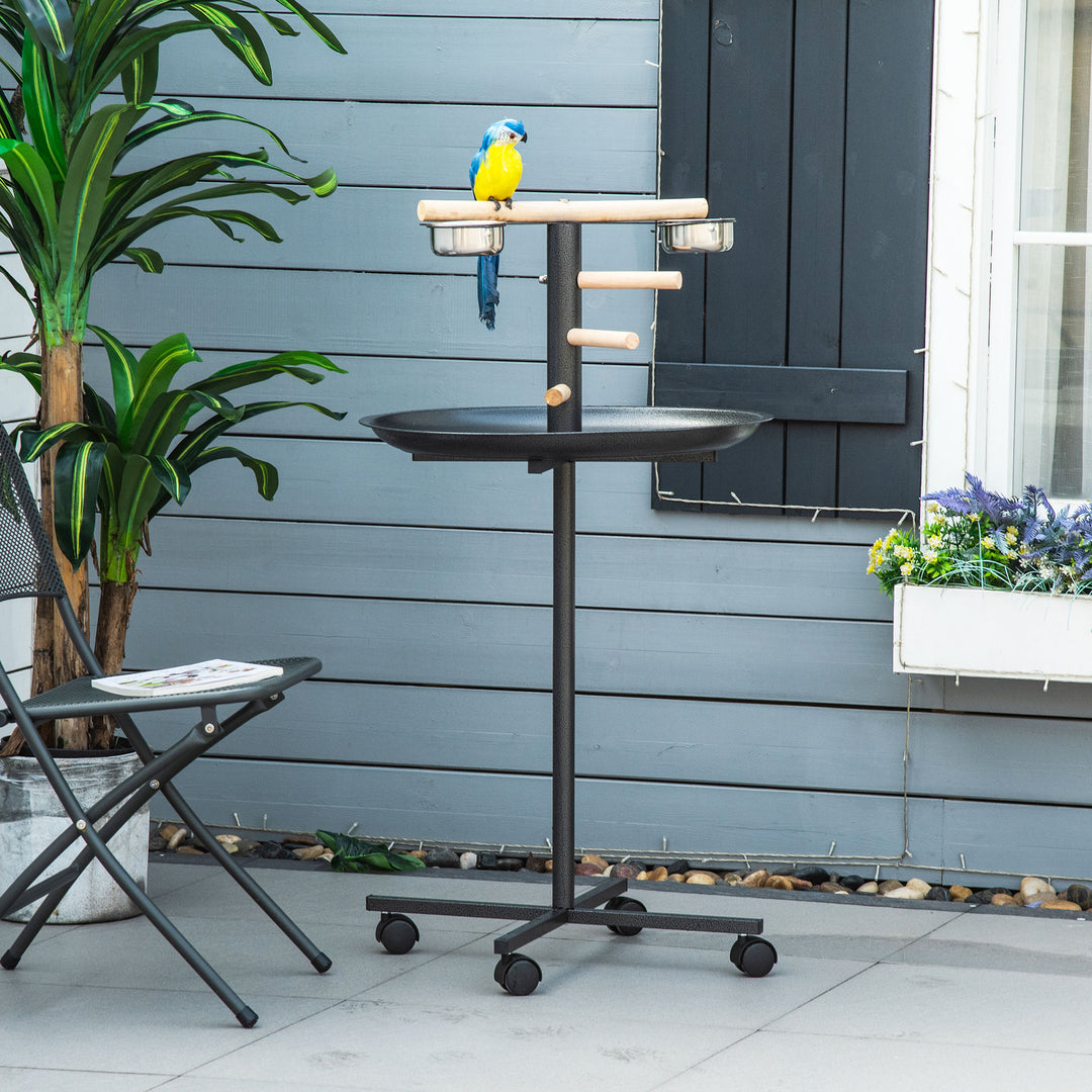 Metal Bird Table Play Stand