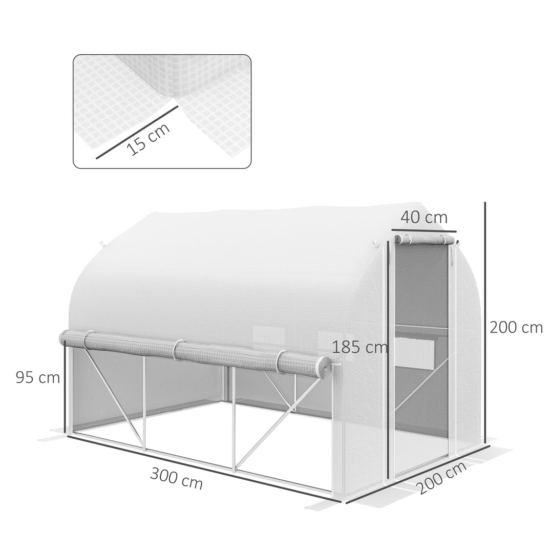 3 x 2m Walk-in Polytunnel Greenhouse