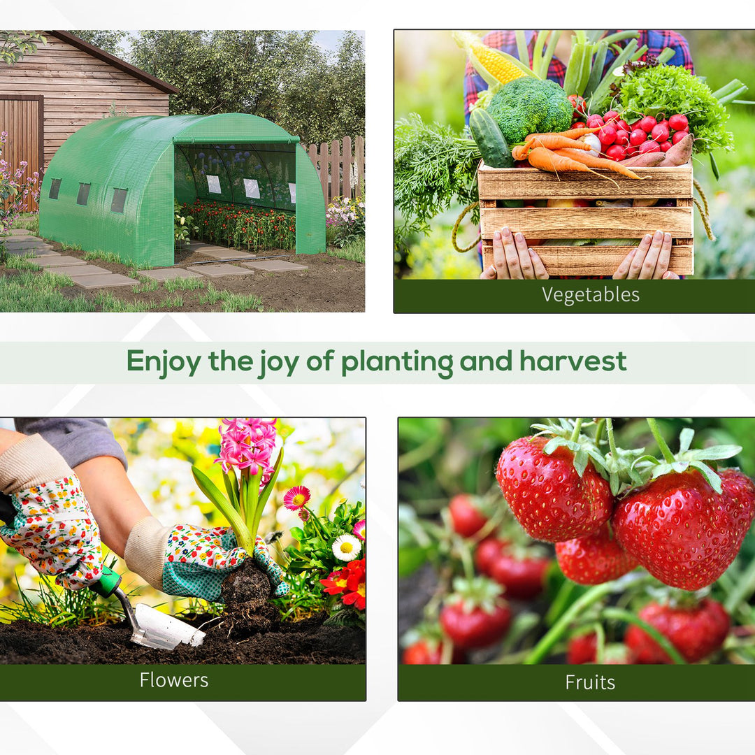 Walk-In Polytunnel Greenhouse