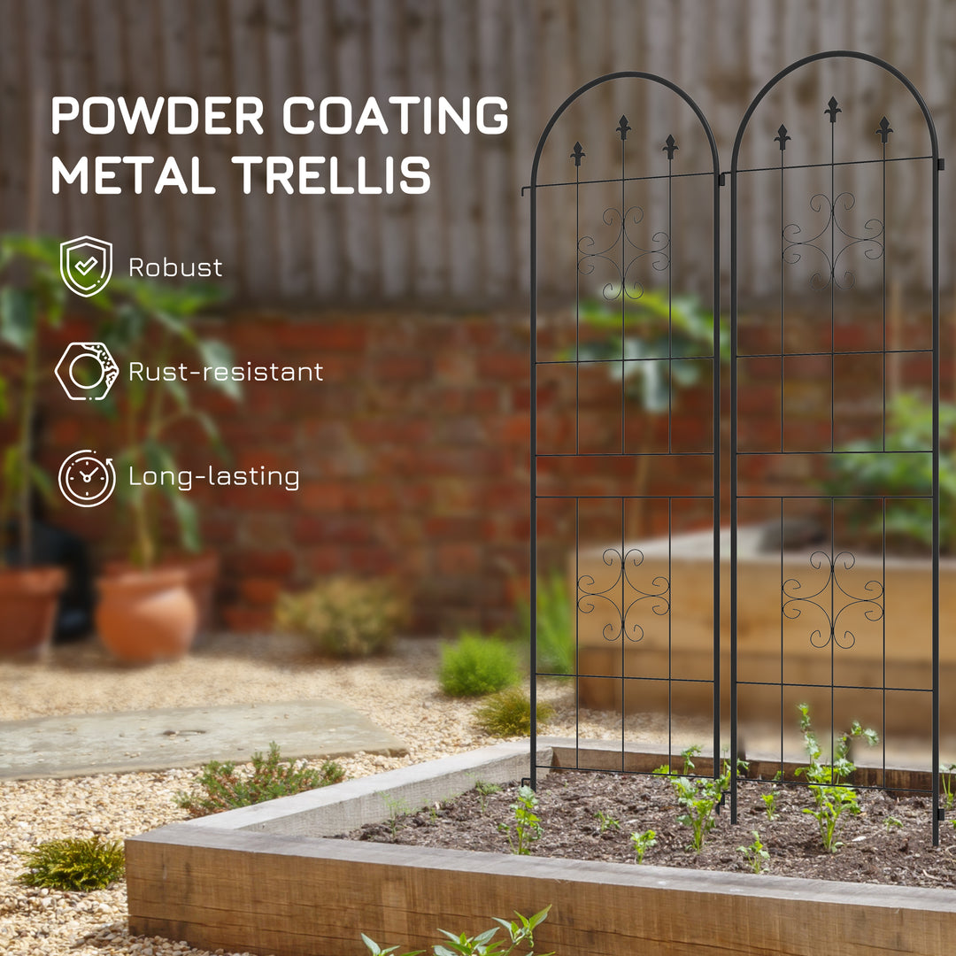 Metal Trellis Set of 2