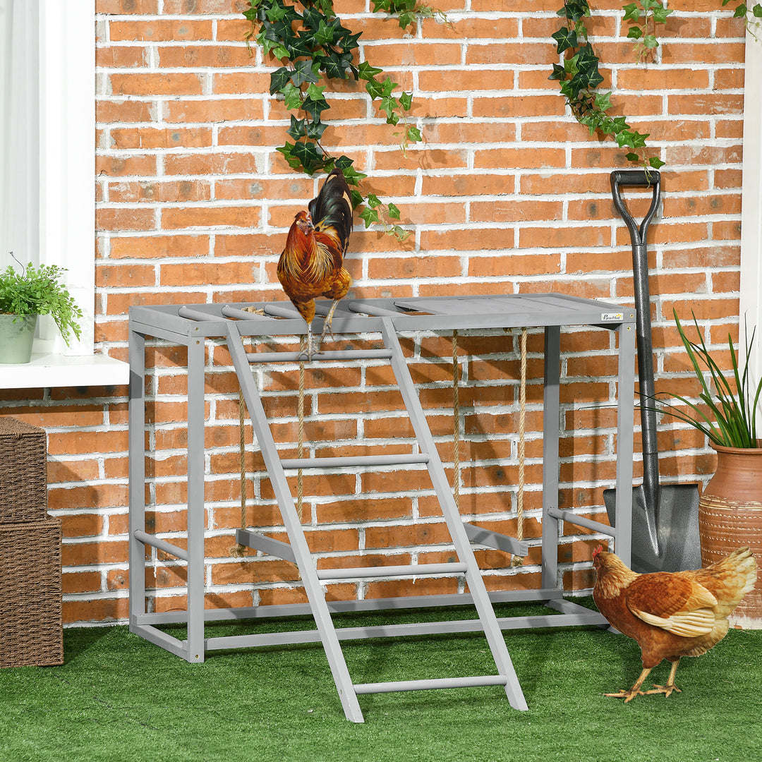 Wooden Chicken Coop Activity Centre with Swing Set for 3-4 Birds